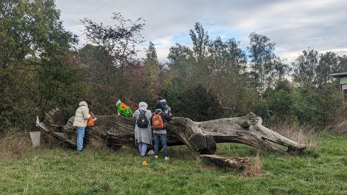Chasse à la Momie & aux bonbons au Parc des Evaux à Onex — Photo 13