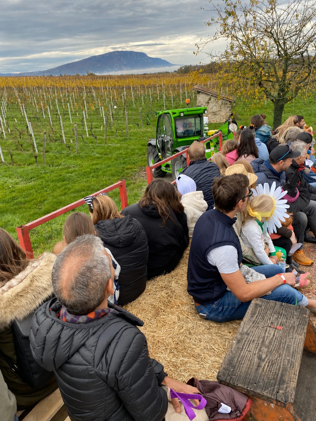 Chasse aux bonbons en char viticole, atelier créatif & dégustation de vins à Gy — Photo 2