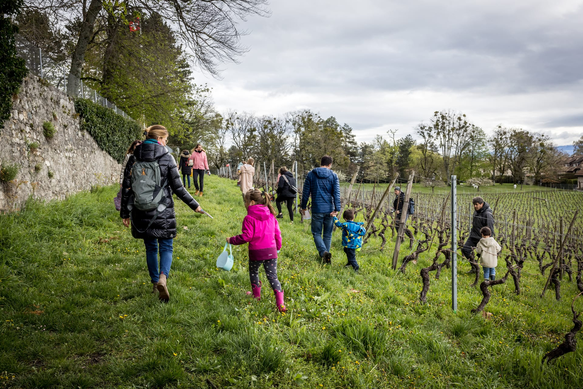 Chasse aux bonbons, atelier lanternes, Maison Hantée & dégustation de vins à Collex-Bossy — Photo 10