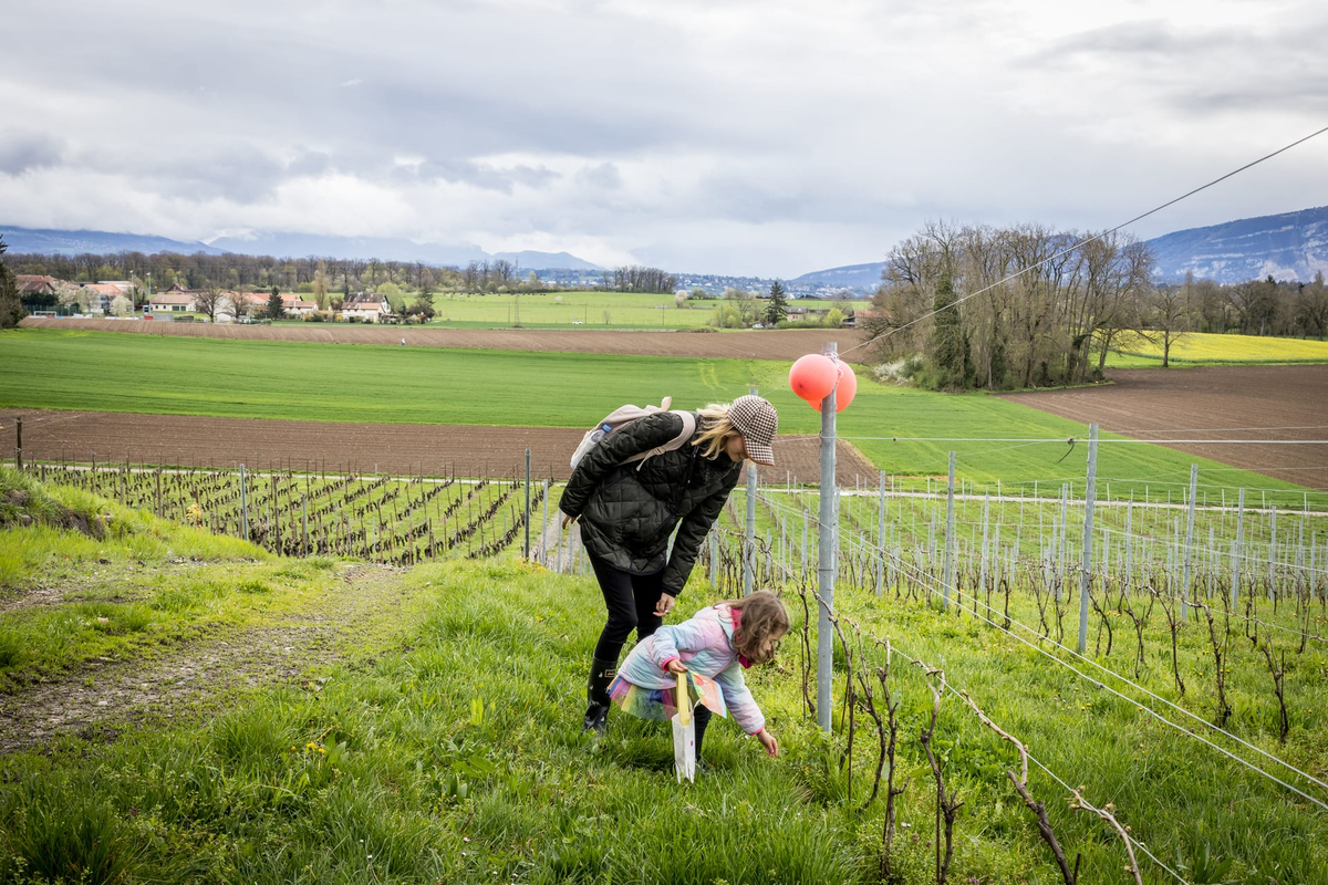 Chasse aux bonbons, atelier lanternes, Maison Hantée & dégustation de vins à Collex-Bossy — Photo 8