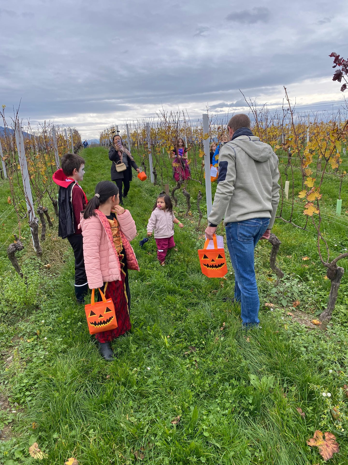 Chasse aux bonbons en char viticole, atelier créatif & dégustation de vins à Gy — Photo 6