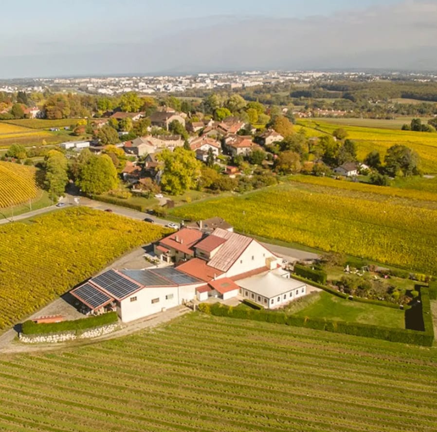 Chasse aux bonbons, Loto Bulle & Dégustation de vin à Satigny — Photo 7