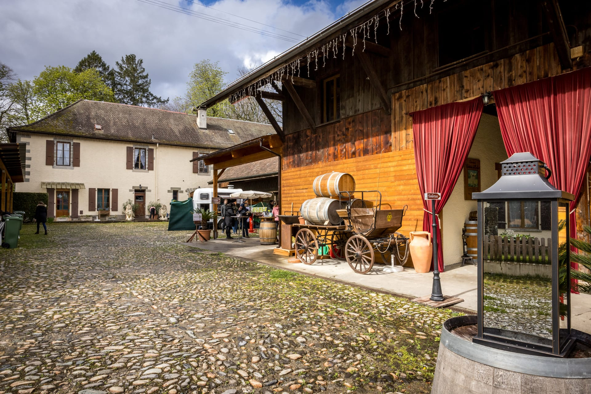 Chasse aux bonbons, atelier lanternes, Maison Hantée & dégustation de vins à Collex-Bossy — Photo 9
