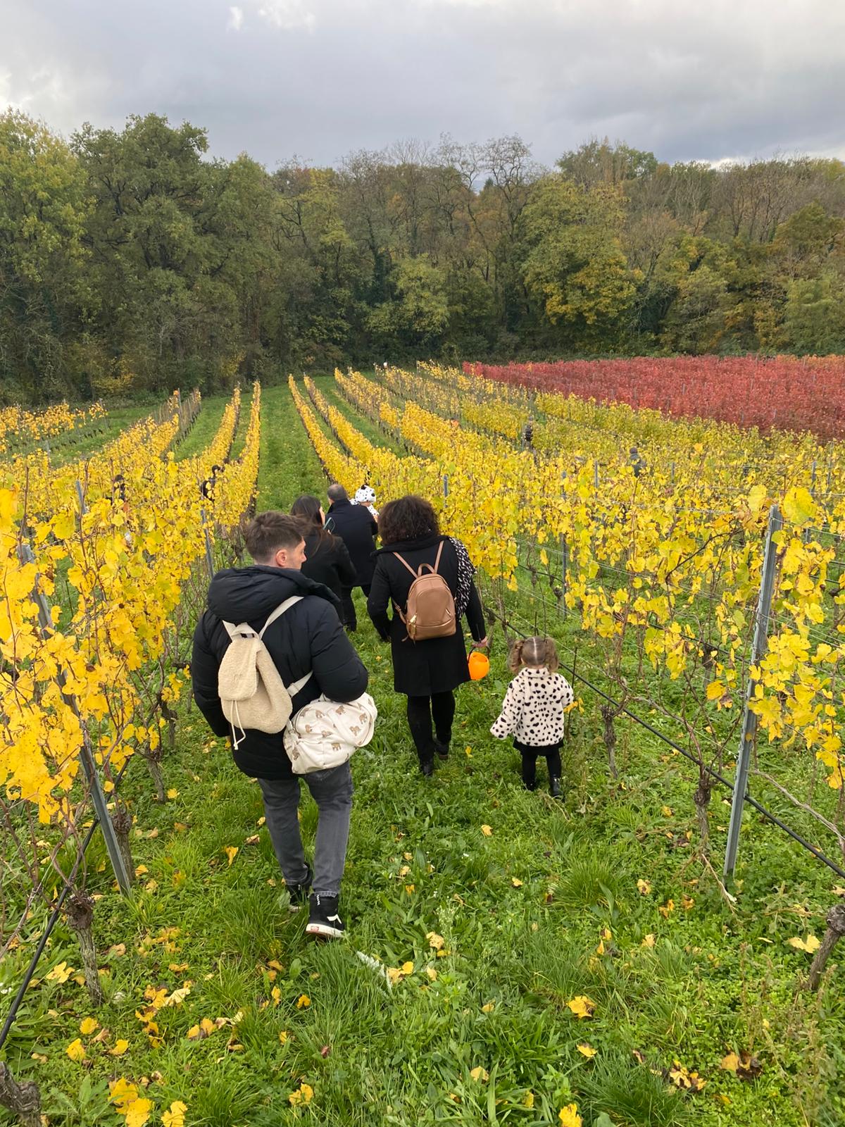 Double chasse aux bonbons Vignes & Fluo, dégustation de vins à Soral — Photo 12