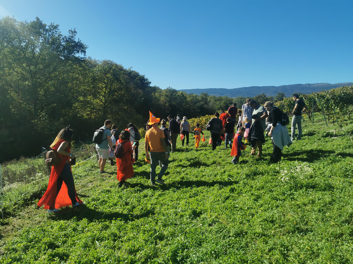 Chasse aux bonbons avec les oies, atelier créatif & dégustation de vins à Dardagny — Photo 11