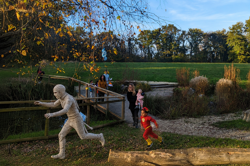 Chasse à la Momie & aux bonbons au Parc des Evaux à Onex
