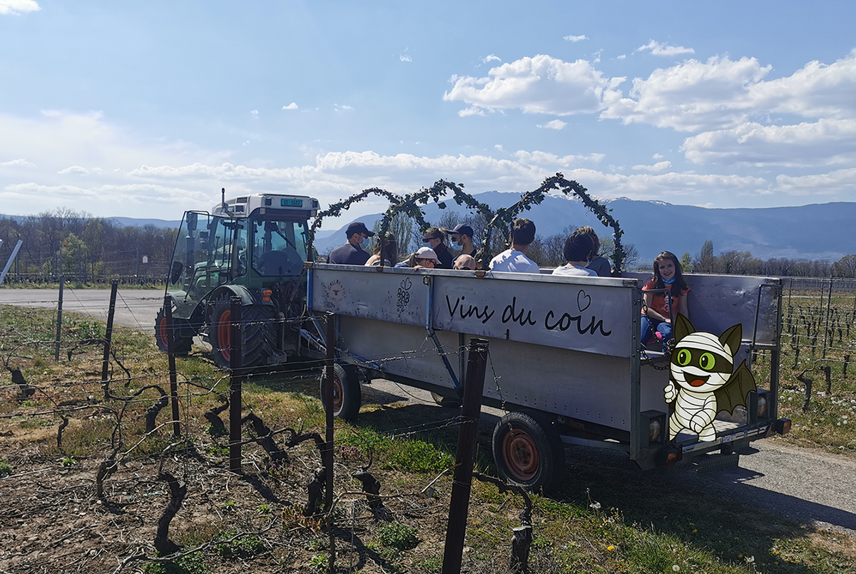 Double chasse aux bonbons Vignes & Fluo, dégustation de vins à Soral