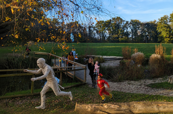 Chasse à la Momie & aux bonbons au Parc des Evaux à Onex