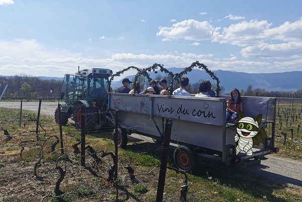 Double chasse aux bonbons Vignes & Fluo, dégustation de vins à Soral