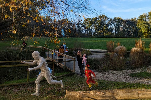 Chasse à la Momie & aux bonbons au Parc des Evaux à Onex