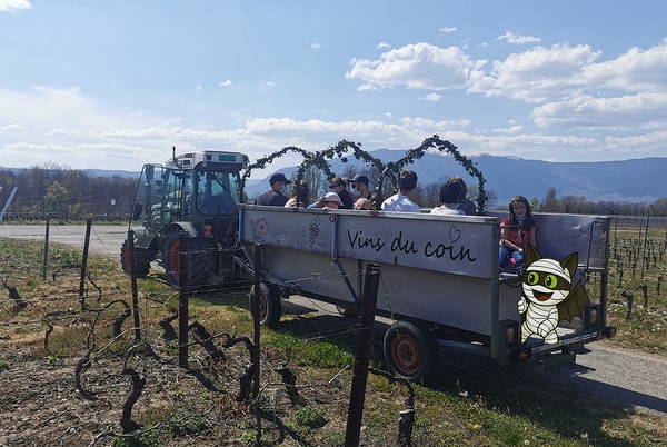 Double chasse aux bonbons Vignes & Fluo, dégustation de vins à Soral