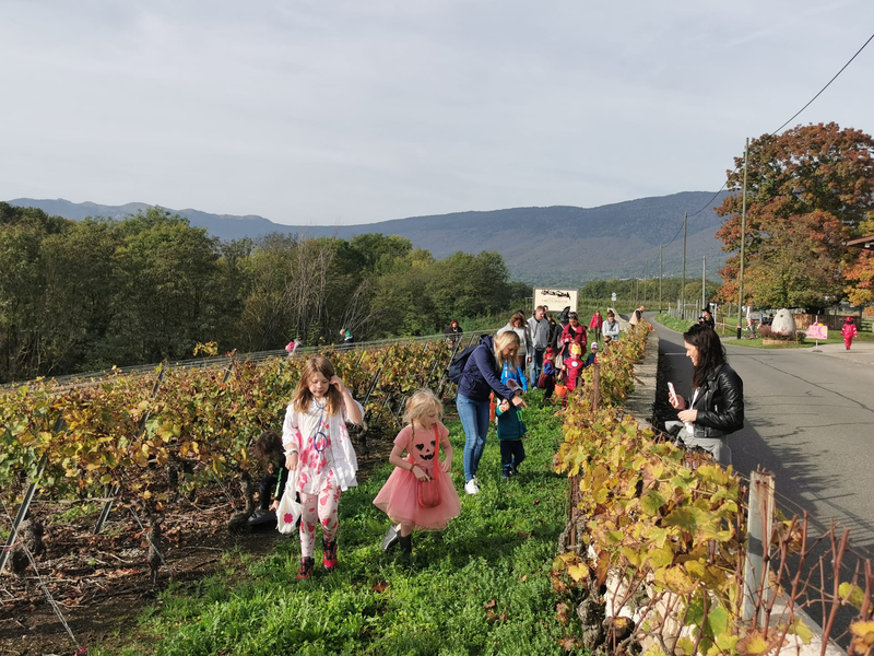Chasse aux bonbons avec les oies, atelier créatif & dégustation de vins à Dardagny — Photo 9