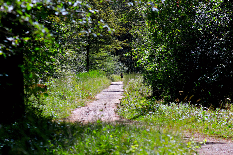 Chasse aux bonbons en train du terroir à Jussy — Photo 6