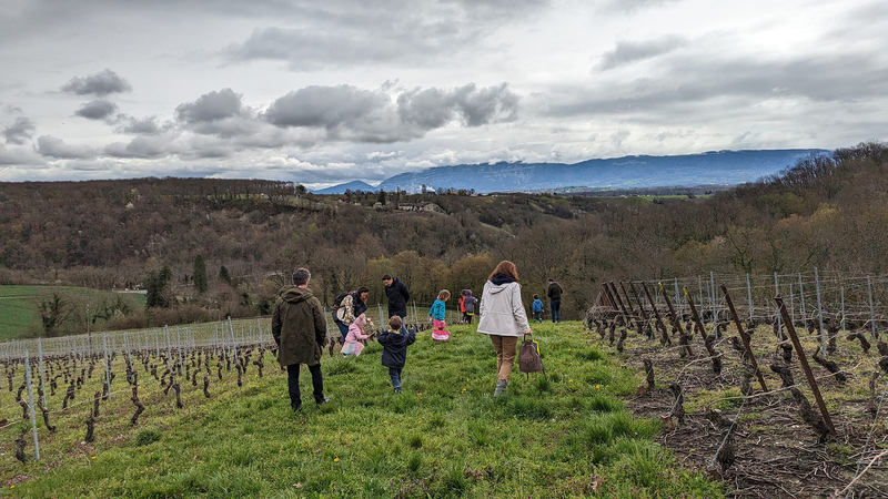 Chasse aux bonbons avec les oies, atelier créatif & dégustation de vins à Dardagny — Photo 2