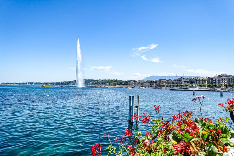 Chasse aux bonbons au bord du Léman à Genève — Photo 5