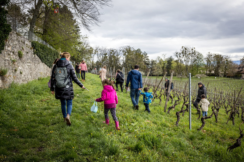 Chasse aux bonbons, atelier lanternes, Maison Hantée & dégustation de vins à Collex-Bossy — Photo 9