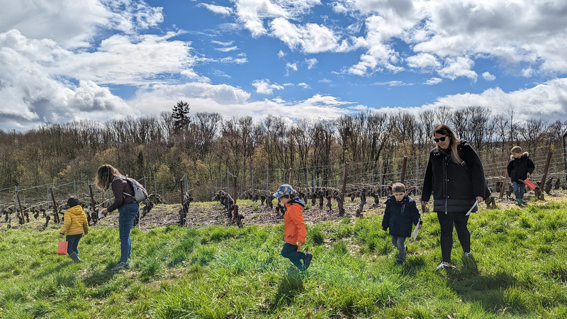 Chasse aux bonbons avec les oies, atelier créatif & dégustation de vins à Dardagny — Photo 3
