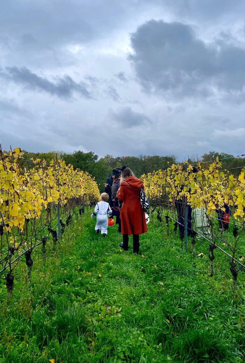 Double chasse aux bonbons Vignes & Fluo, dégustation de vins à Soral — Photo 10
