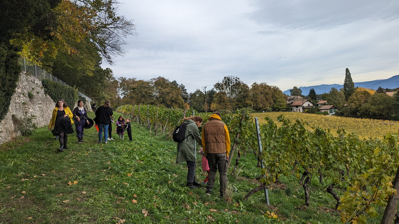 Chasse aux bonbons, atelier lanternes, Maison Hantée & dégustation de vins à Collex-Bossy — Photo 12