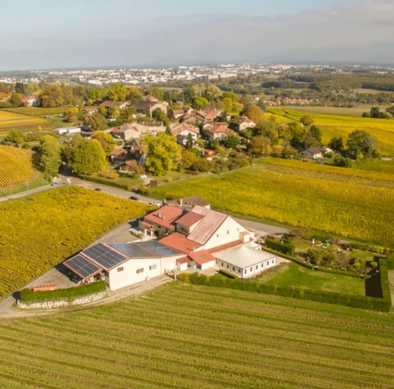 Chasse aux bonbons, Loto Bulle & Dégustation de vin à Satigny — Photo 6