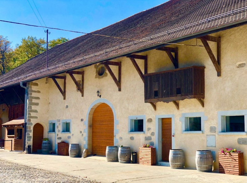 Chasse aux bonbons, atelier lanternes, Maison Hantée & dégustation de vins à Collex-Bossy — Photo 16