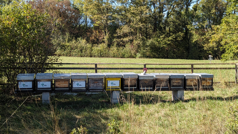 Chasse à la Momie & aux bonbons au Parc des Evaux à Onex — Photo 14