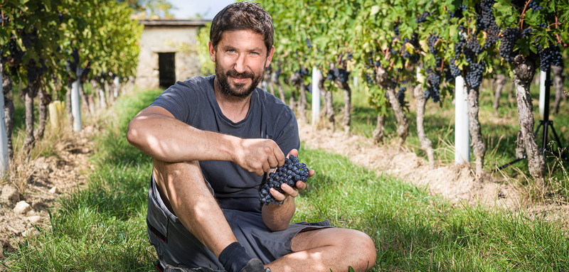 Chasse aux bonbons en char viticole, atelier créatif & dégustation de vins à Gy — Photo 10