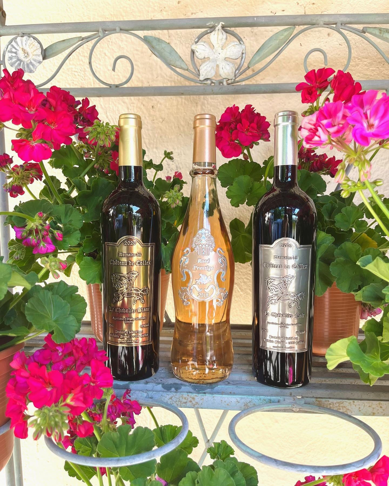 Chasse aux bonbons, atelier lanternes, Maison Hantée & dégustation de vins à Collex-Bossy — Photo 15