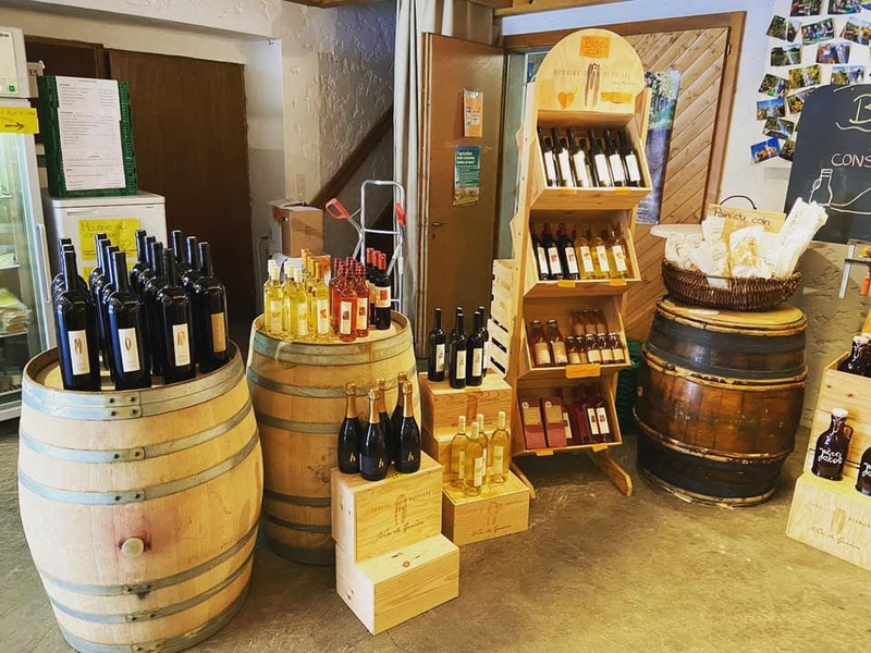 Double chasse aux bonbons Vignes & Fluo, dégustation de vins à Soral — Photo 5