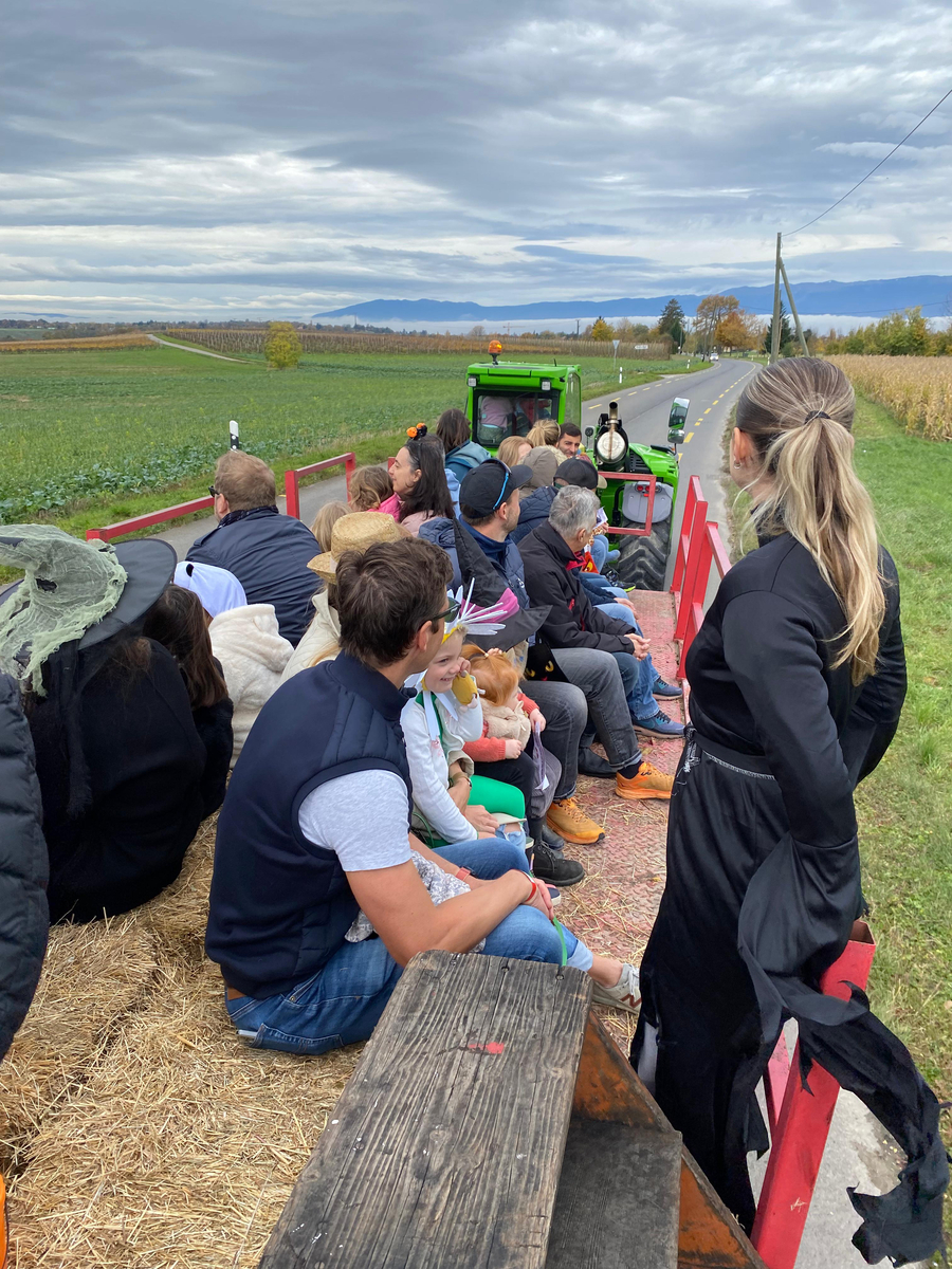 Familles en balade en char viticole dans les vignes.