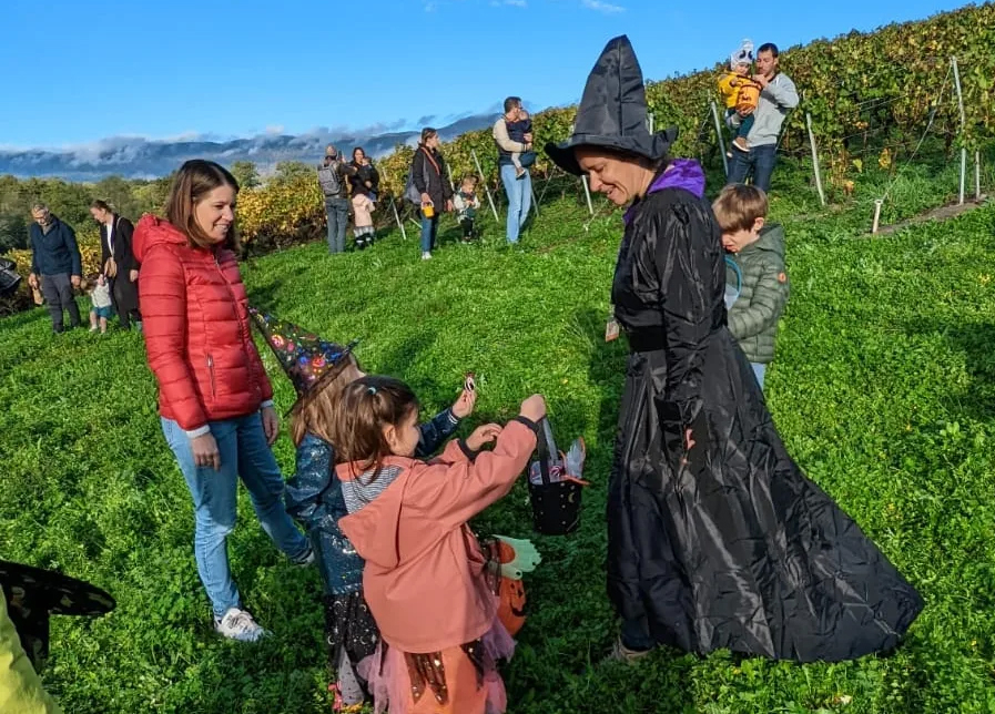 Sorcière guidant les enfants dans une chasse aux bonbons dans les vignes.