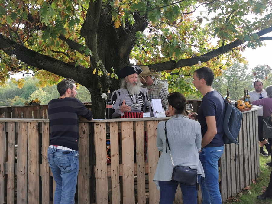 Participants déguisés dégustant du vin dans les vignes lors de Hallomania.