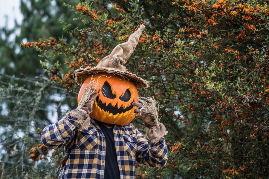 Déguisement d'épouvantail pour Halloween